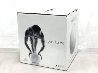 LPG Wellbox ウェルボックス エンダモロジー 美容器具