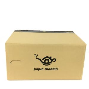 popin Aladdin PA18U02VN プロジェクター スピーカー 内蔵 シーリングライト