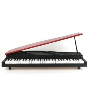 KORG コルグ MICRO PIANO (BK) 電子ピアノ 61鍵盤 ブラック