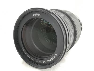 Panasonic LUMIX G VARIO 100-300mm F4.0-5.6 II POWER O.I.S. 望遠 ズームレンズ
