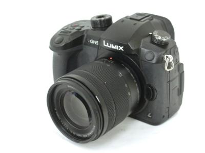 Panasonic パナソニック LUMIX DC-GH5 標準ズームレンズキット H-FS12060 F3.5-5.6 12-60mm デジタル一眼レフカメラ
