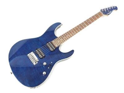 Vasilisk VAS-01(エレキギター)の新品/中古販売 | 1665121 | ReRe[リリ]