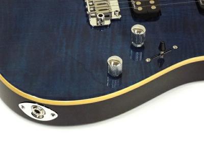 Vasilisk VAS-01(エレキギター)の新品/中古販売 | 1665121