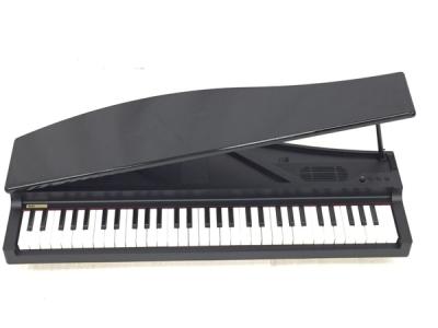 KORG コルグ MICRO PIANO (BK) 電子ピアノ 61鍵盤 ブラック
