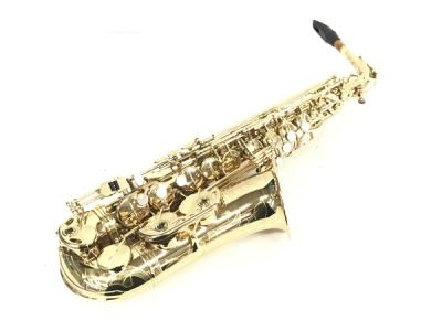 訳あり SELMER アルトサックス SuperAction 80 SERIE2 SA80II