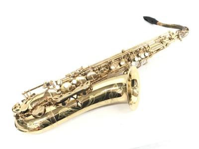 Selmer Super Action アルトサックス アメセル 彫刻有