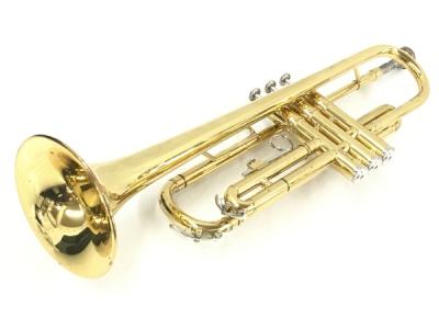 MAXTONE トランペット ハードケース付き （MAXTONE TT-104