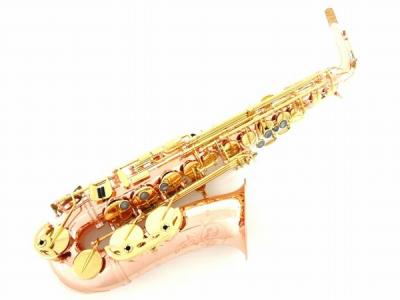 Buffet Crampon Senzo BC2525-7B - 0(アルトサックス)の新品/中古販売