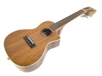 KALA KA-KCGE-C カラ ウクレレ チューナー搭載 弦楽器