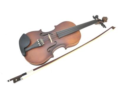 Hallstatt ハルシュタット ヴァイオリン V-12 4/4サイズバイオリン (通常サイズ)