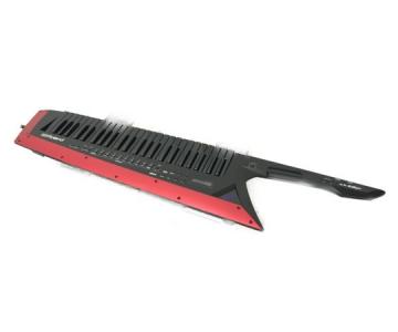 Roland ローランド AX-Edge ショルダー キーボード 49鍵 ソフトケース付 鍵盤 楽器 シンセサイザー