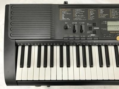 CASIO LK 113 1145715