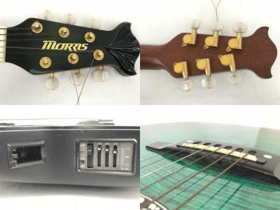 Morris TR701(アコースティックギター)の新品/中古販売