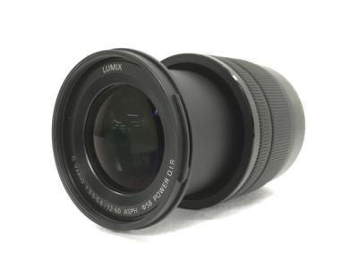 Panasonic H-FS12060 LUMIX G VARIO 12-60mm F3.5-5.6 ASPH Φ58 POWER O.I.S カメラ レンズ
