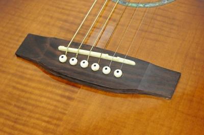Cooder by TAKAMINE TCP-560 ASG(アコースティックギター)の新品
