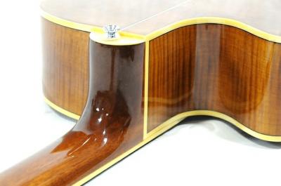 Cooder by TAKAMINE TCP-560 ASG(アコースティックギター)の新品