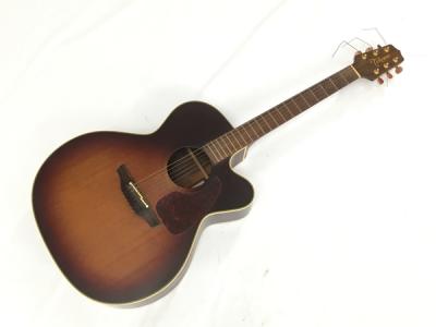 Takamine NPT-012BS エレアコ ギター ケース付き