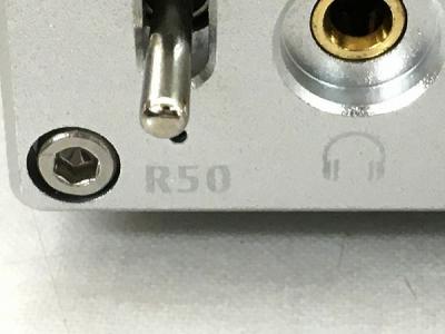 Diypoetry R50 真空管アンプ (USED) Diypoetry R50 真空管アンプ (USED)オンライン ショップ 安い