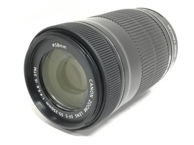 Canon EF-S 55-250mm 4-5.6 IS STM 一眼レフ カメラ レンズ