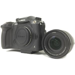 Panasonic GH5 LUMIX G DC-GH5M-K 標準ズームレンズキット G VARIO 12-60mm/F3.5-5.6 H-F デジタルカメラ