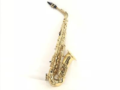 Yanagisawa 901 /00308802(アルトサックス)の新品/中古販売 | 1728551