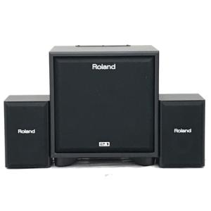 ★大人気商品★ CM-220 Roland CM-110(スピーカー)の新品/中古販売 1729335 | その他