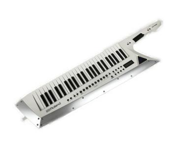 Roland ローランド AX-Edge ショルダー キーボード 49鍵 ソフトケース付 鍵盤 楽器 シンセサイザー