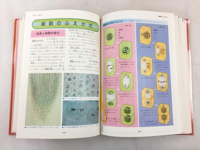 小学館の学習百科事典 全13巻セット 昭和レトロ(児童書)の新品/中古 