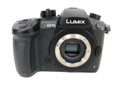 Panasonic LUMIX DC-GH5 GH5 ミラーレス一眼カメラ ボディ