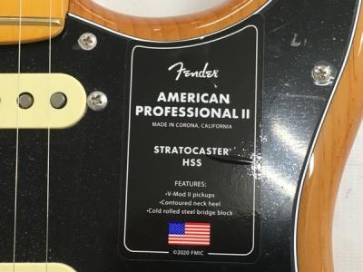 FENDER American Professional II Stratocaster HSS MN RST PINE