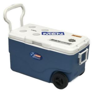 Coleman 6262 hotsell