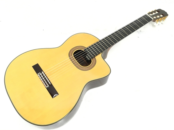 Takamine NPT-315(クラシックギター)-