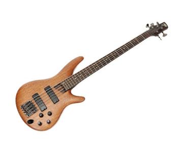 Ibanez アイバニーズ SDGR 6弦 エレキベース 楽器 木目調