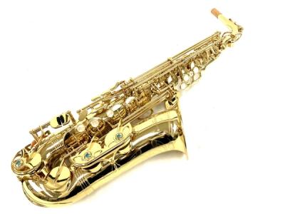 Yanagisawa ヤナギサワ A-WO1 アルトサックス ラッカー 仕上げ ケース付き
