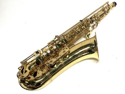Yanagisawa ヤナギサワ 900μ アルト サックス 管楽器