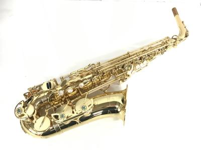 Yanagisawa ヤナギサワ A-WO1 アルトサックス ラッカー 仕上げ ケース付き