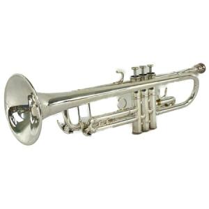 YAMAHA　トランペット　YTR-8335 ハードケース付き YAMAHA トランペットYTR-8335r Xeon ハードケース付き美品