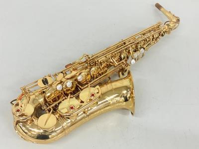 Yanagisawa ヤナギサワ 900μ アルト サックス 管楽器