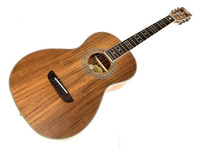 Washburn WP55NS(アコースティックギター)の新品/中古販売 | 1383957