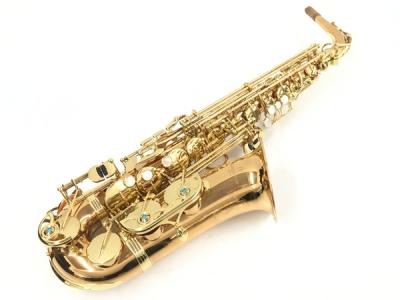 YANAGISAWA ヤナギサワ WO2 アルト サックス 管楽器 ケース マウスピース リガチャ 付 楽器