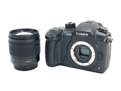Panasonic GH5 LUMIX G DC-GH5M-K 標準ズームレンズキット G VARIO 12-60mm/F3.5-5.6 H-F デジタルカメラ
