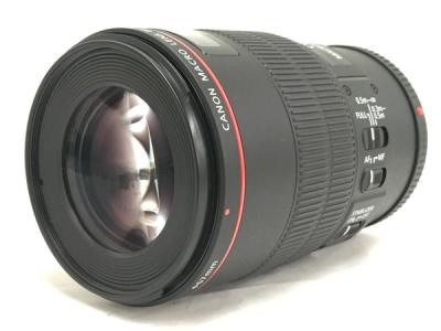 Canon EF100mm F2.8L Macro IS USM レンズ 単焦点