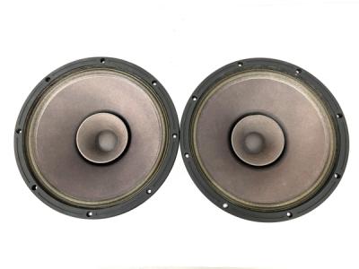 FOSTEX PS300 ダブルコーン型 フル レンジ ユニット 30cm ペア オーディオ 機器