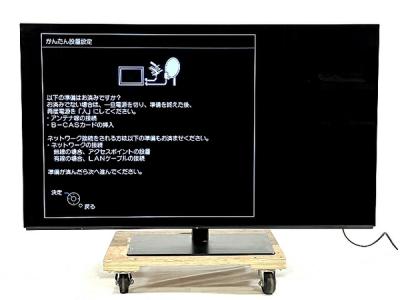 Panasonic パナソニック VIERA ビエラ TH-55FZ950 55V型 4K 有機EL テレビ