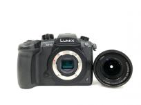 Panasonic LUMIX DC-GH5 GH5 ミラーレス一眼カメラ ボディの買取