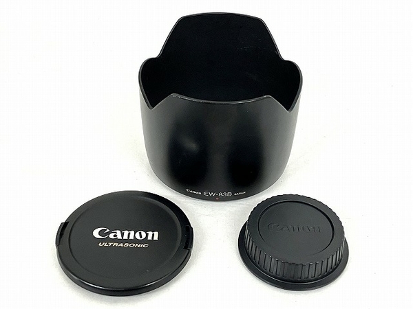 Canon EF 28-70mm F2.8 L ULTRASONIC(レンズ)-