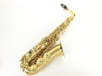 Yanagisawa ヤナギサワ A-WO1 アルトサックス ラッカー 仕上げ ケース付き