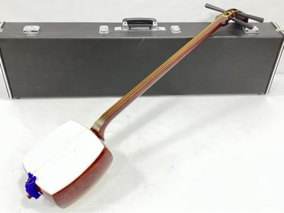ラジコン 飛行機 Futaba S3001 付き