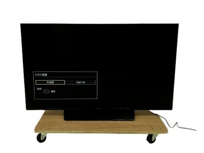 Panasonic パナソニック VIERA ビエラ TH-49JX850 49インチ 液晶テレビ 4K対応