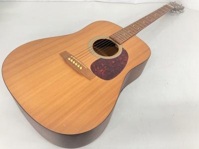 MARTIN D-1 アコースティック ギター